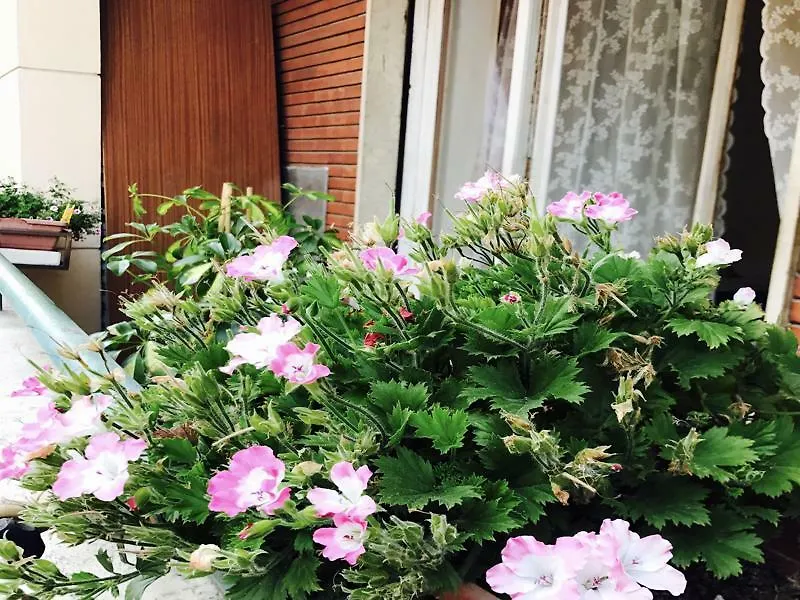 ***  Pardis Guest House Rome Italy
