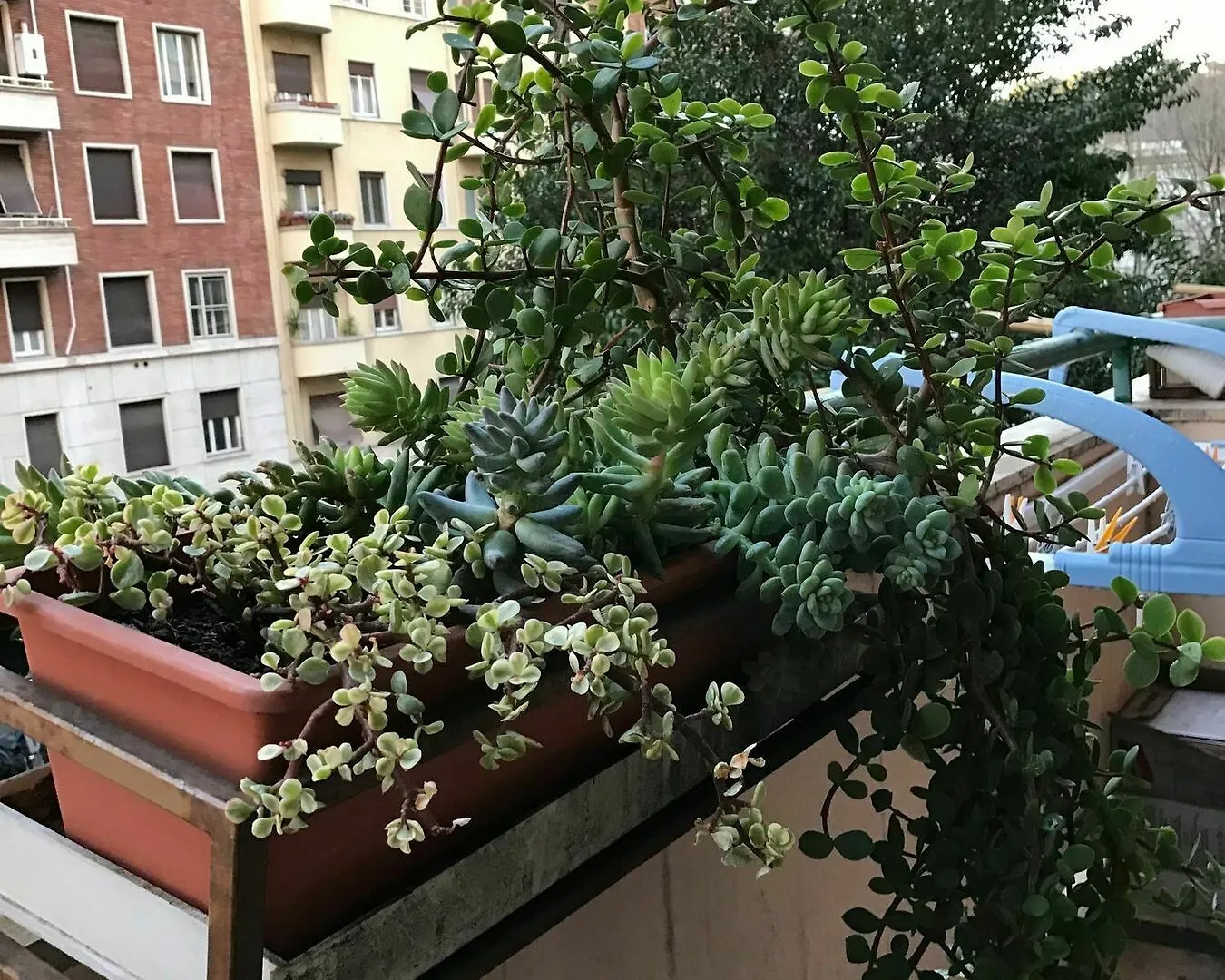 Pardis Guest House Rome Italy